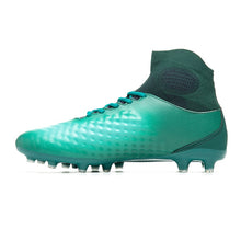 Load image into Gallery viewer, 2019 Spikes