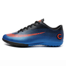 Load image into Gallery viewer, 2019 Spikes