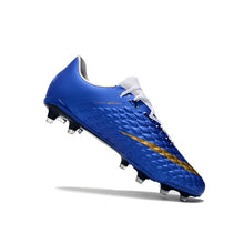 Load image into Gallery viewer, 2019 Spikes